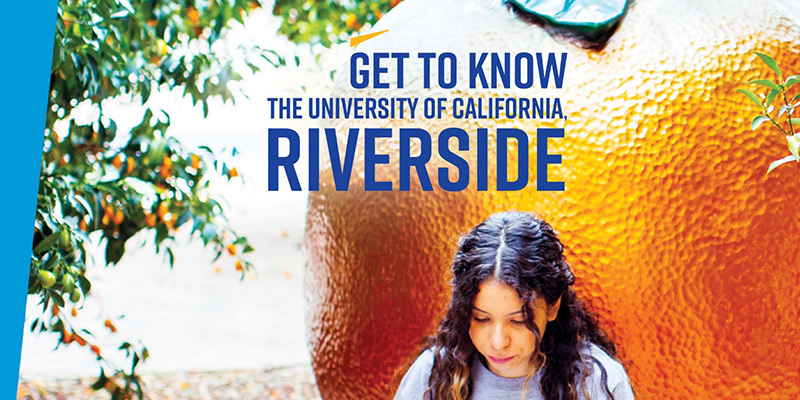 Publications: First Year Viewbook Out-of-State (Flipbook)
