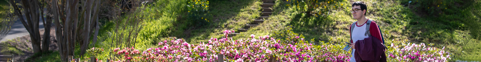 A student with a backpack walks past a lush garden of pink flowers and a stone-stepped hillside at the UC Riverside Botanic Gardens. This bright, sunny scene highlights the natural beauty of the university campus.