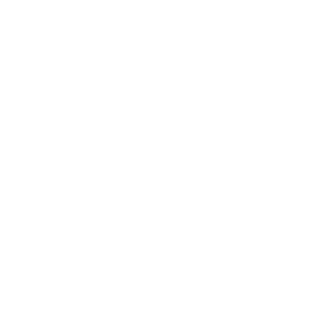 Summer Sessions white logo