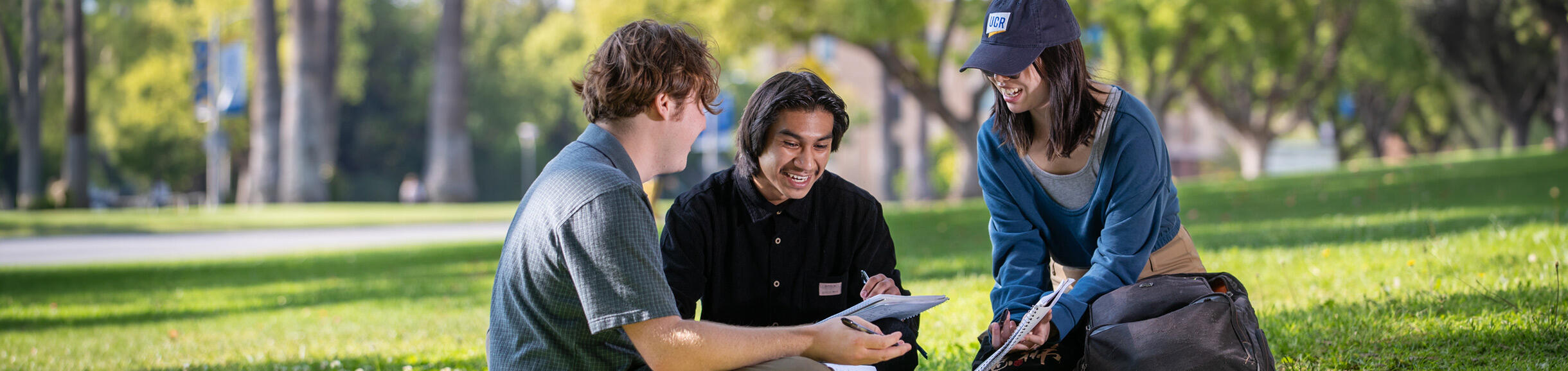 Three UC Riverside students study and chat together on a grassy campus lawn.
