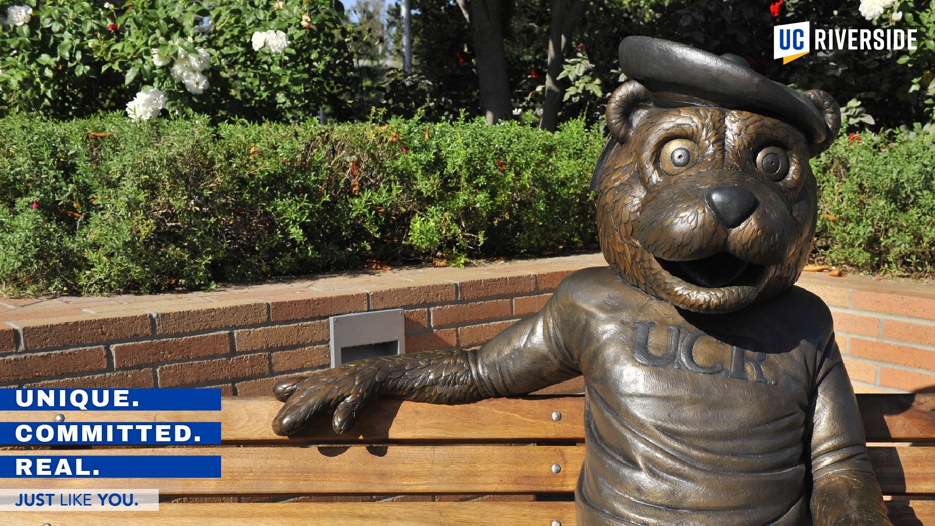 Download: UC Riverside Zoom Background - Scotty Bench Statue